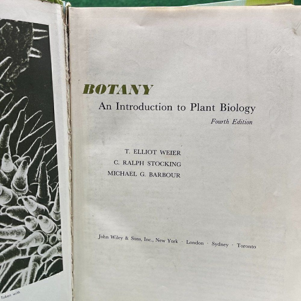 Fourth Edition Botany   - Picture 2 of 3